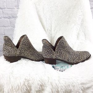 lucky bashina leopard